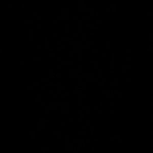 Meet your Posher, Nolan